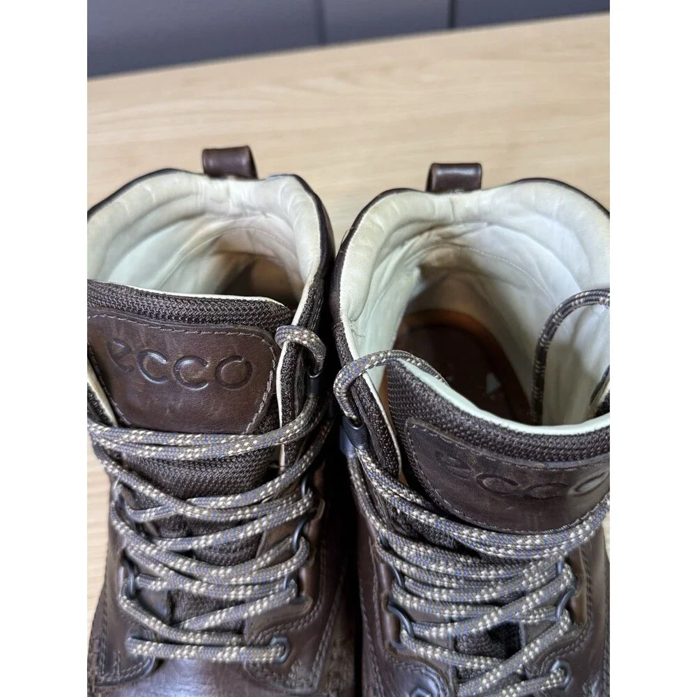 Ecco track 25